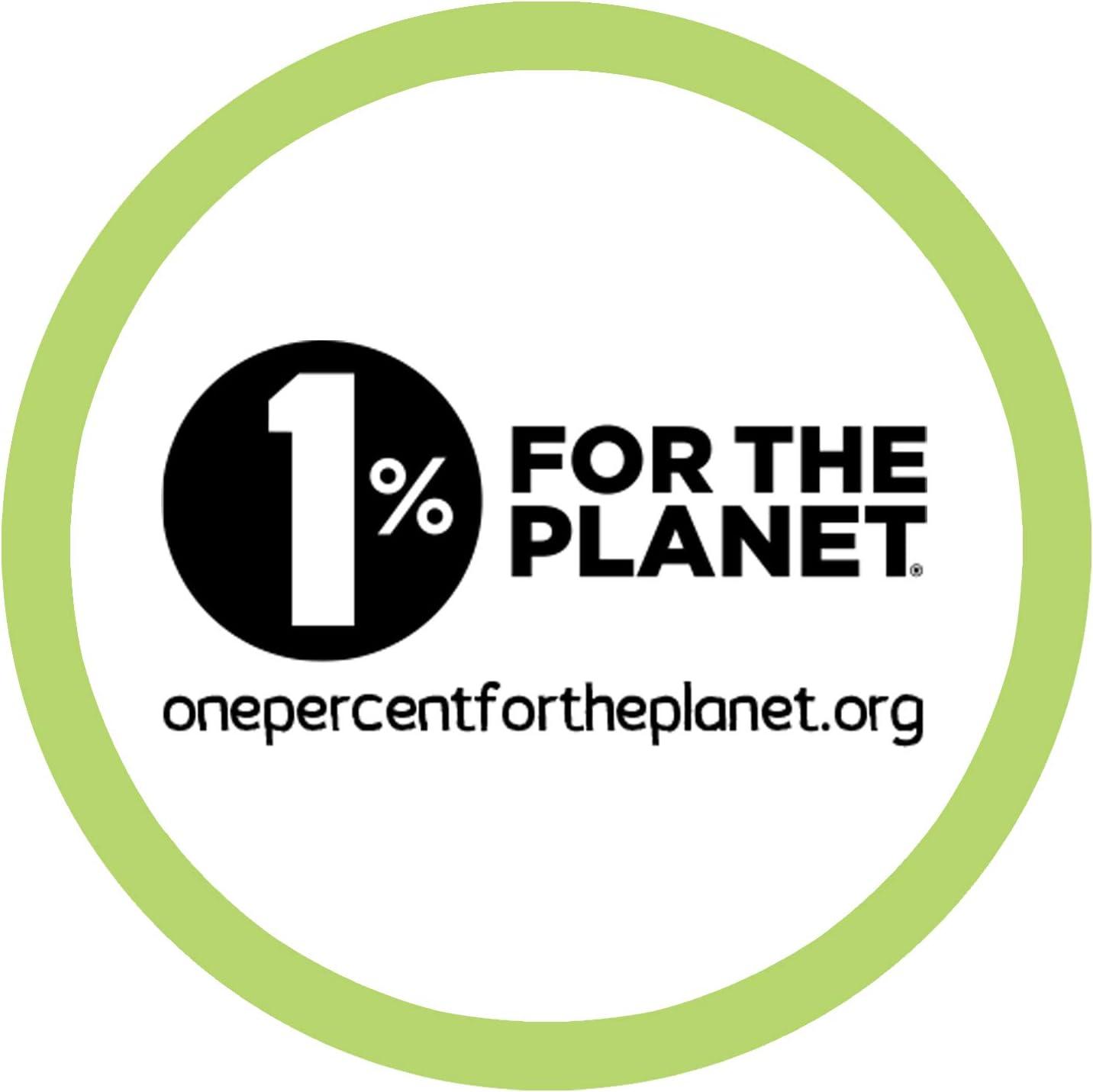 Jane & Me Sea Turtle Family (the Jane Goodall Institute) - by  Jaye Garnett (Board Book)