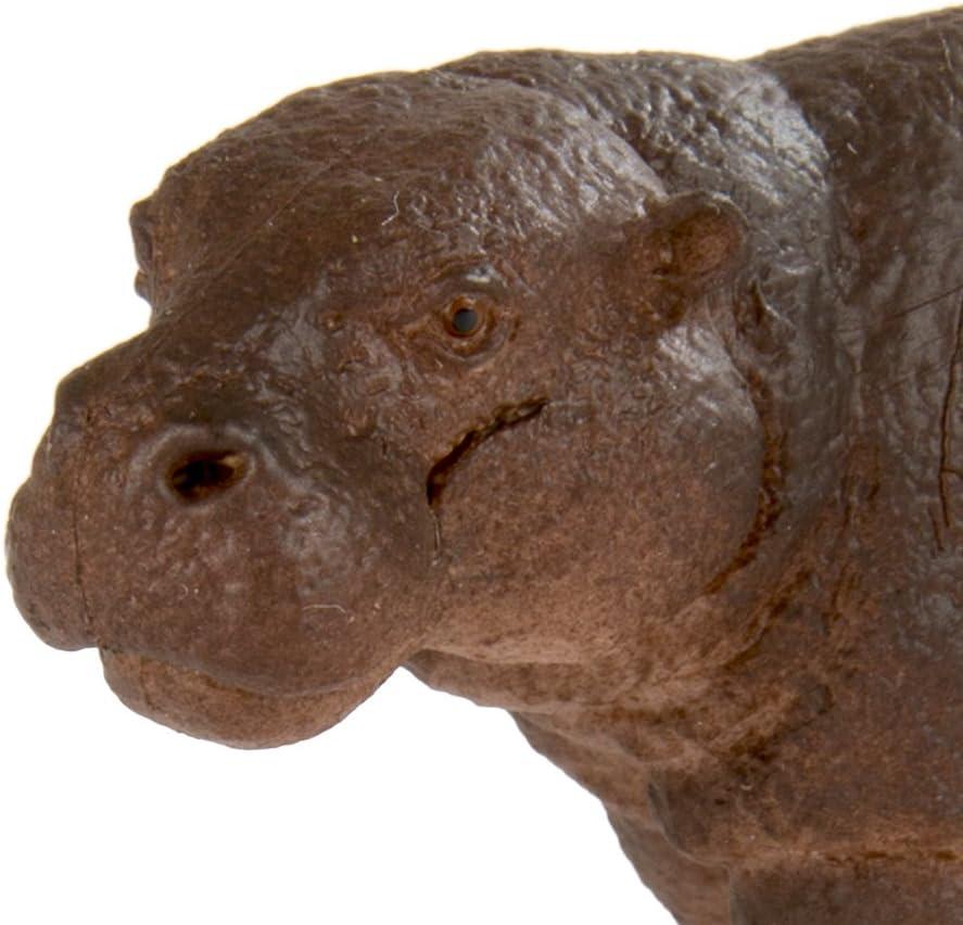 Safari Ltd. Pygmy Hippopotamus Figurine - Lifelike 3.25" Animal Figure - Educational Toy for Boys, Girls, and Kids Ages 3+