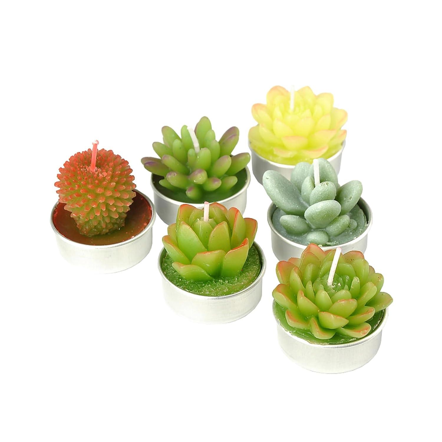 SSleng Cactus Tealight Candles, Handmade Delicate Succulent Cactus Candles（ Perfect for Birthday Party ,Wedding, Spa, Home Decor) C66