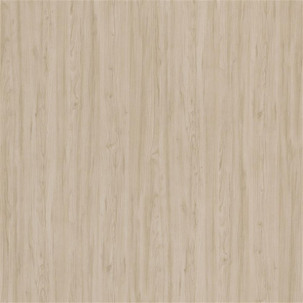 Hustle Tall 5 Shelf Bookcase in Natural Elm - Engineered Wood