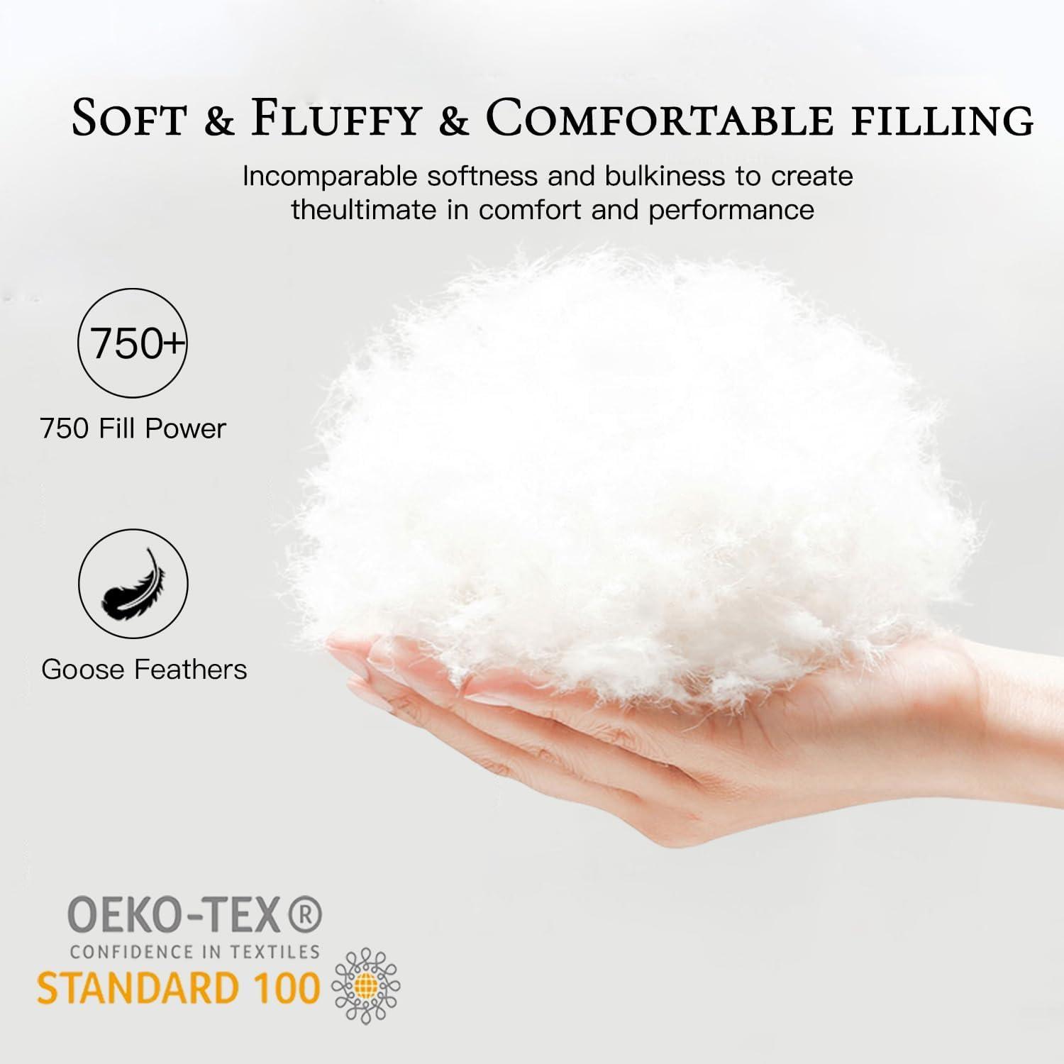 ValenciaLuxe Hotel-Collection 100% Organic Cotton All Season 750 Fill Power Goose Feathers Down Comforter