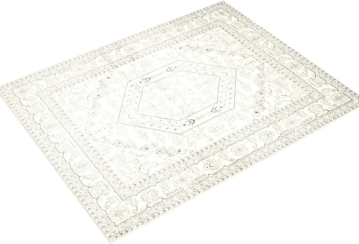 SAFAVIEH Adirondack Xavier Traditional Area Rug, Ivory/Silver, 9' x 12'