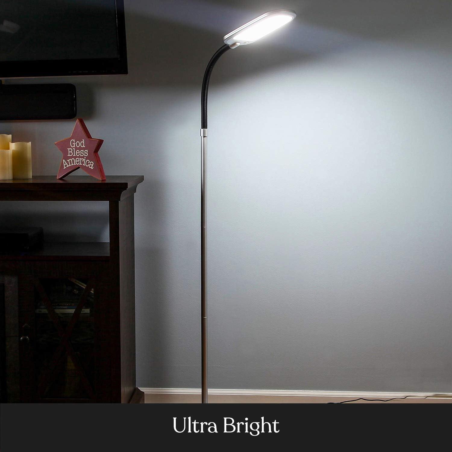 Litespan Slim 55 in. Industrial 1-Light Dimmable LED Floor Lamp