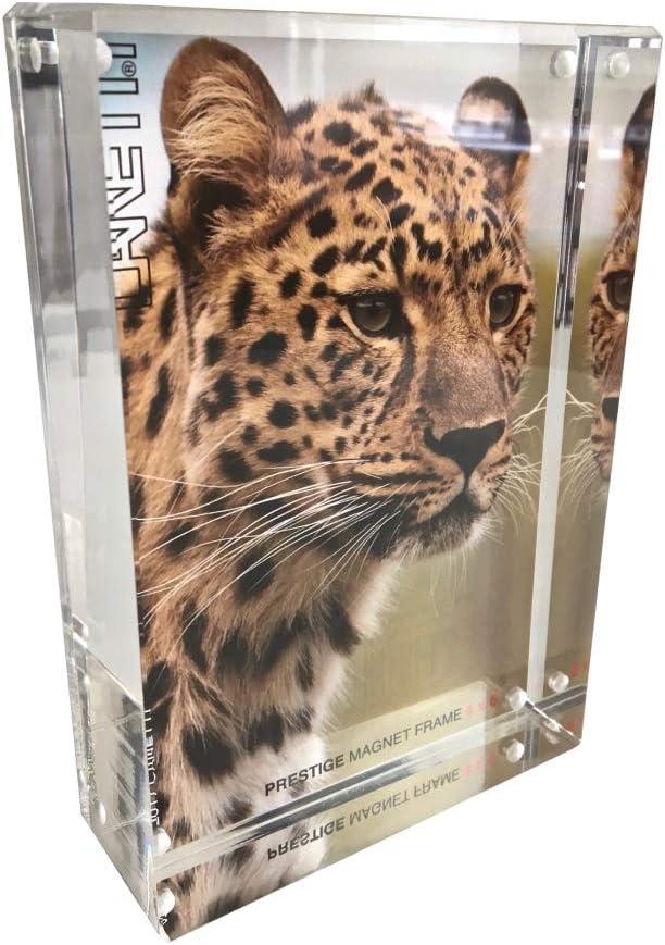 The PRESTIGE GOLD Silver 4x6 MAGNET FRAME by Canetti - 4x6