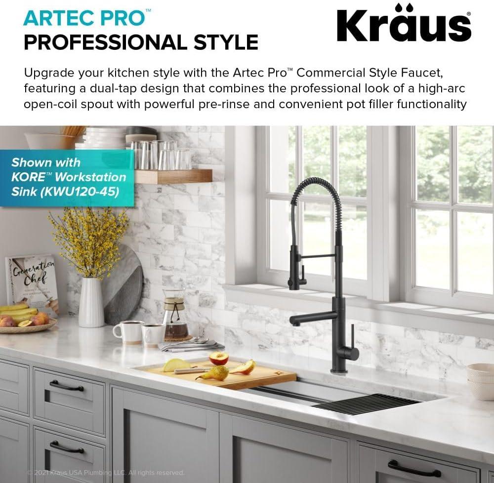 Matte Black Semi-Professional Kitchen Faucet with Pull-out Spray