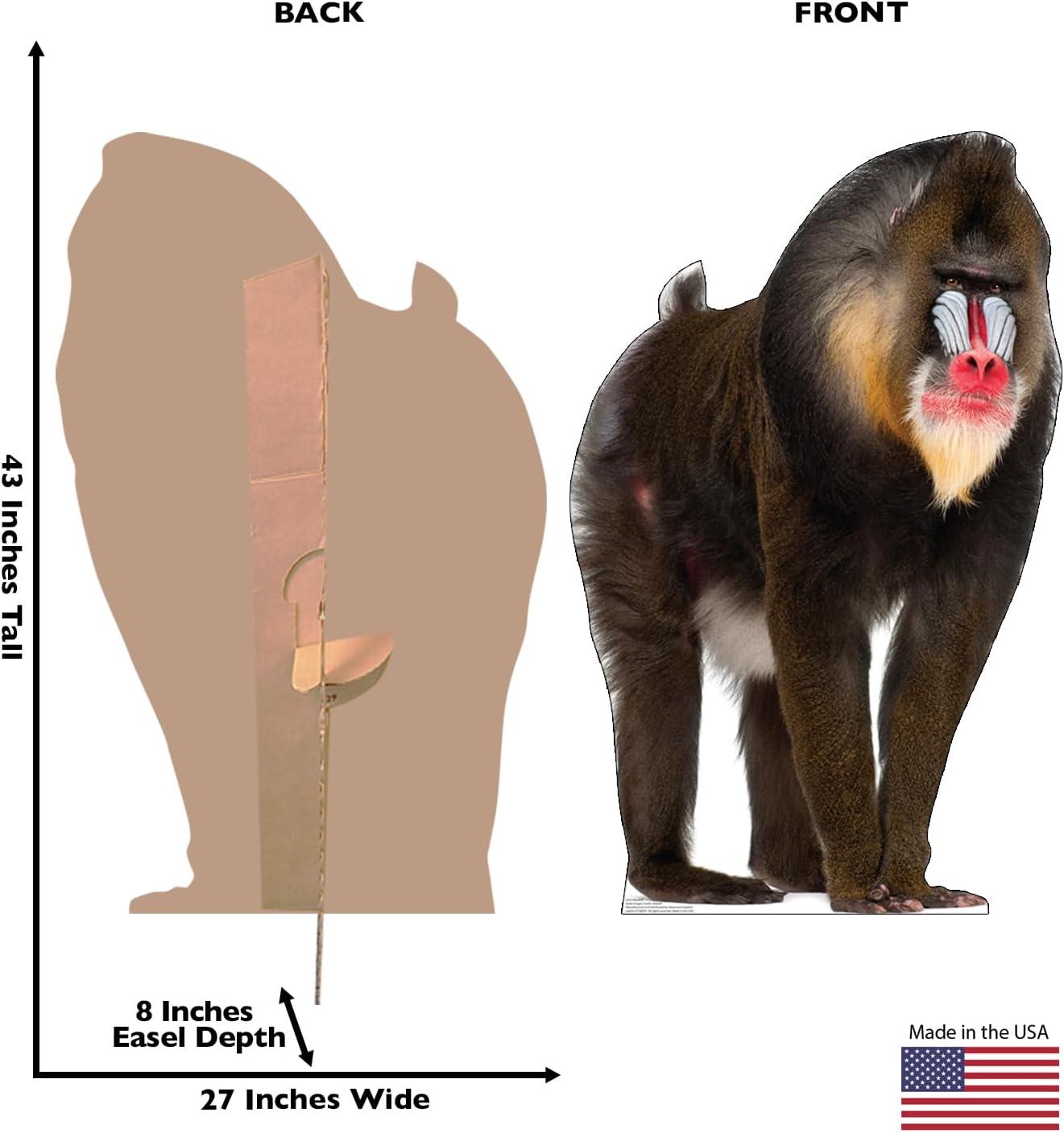 Life-Size Mandrill Cardboard Cutout Standee 43" x 27"