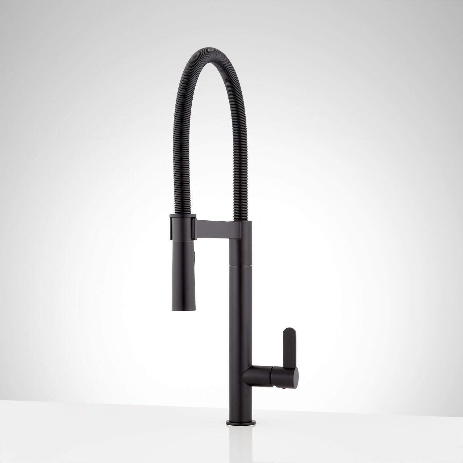 Ocala Pull Down Kitchen Faucet