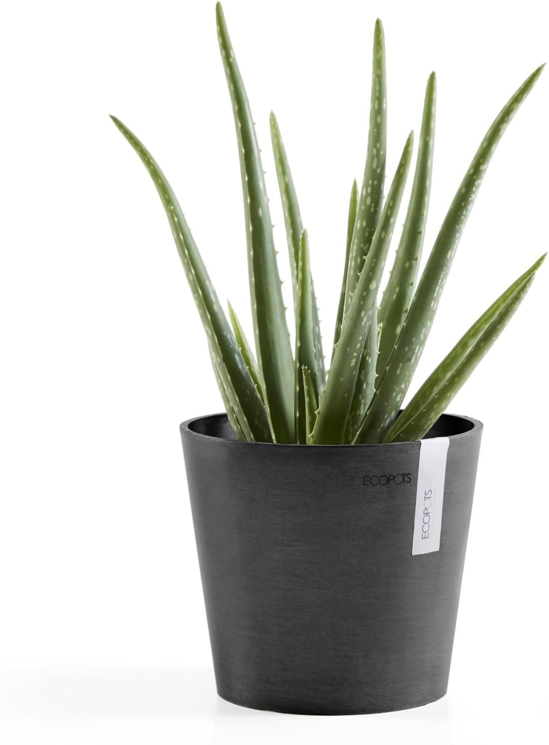 Ecopots Ecopots Indoor/Outdoor Modern Round Recycled Plastic Planter Flower Pot