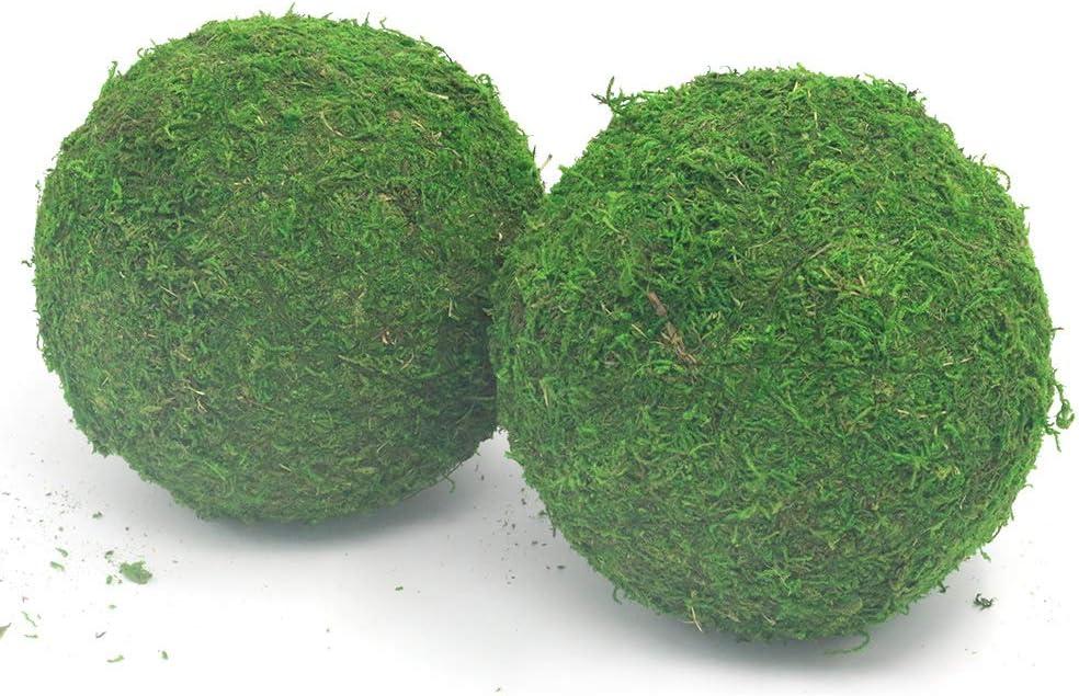 Nice purchase Handmade Natural Green Plant Moss Balls Decorative for Home Party Display Decor Props (6 in)