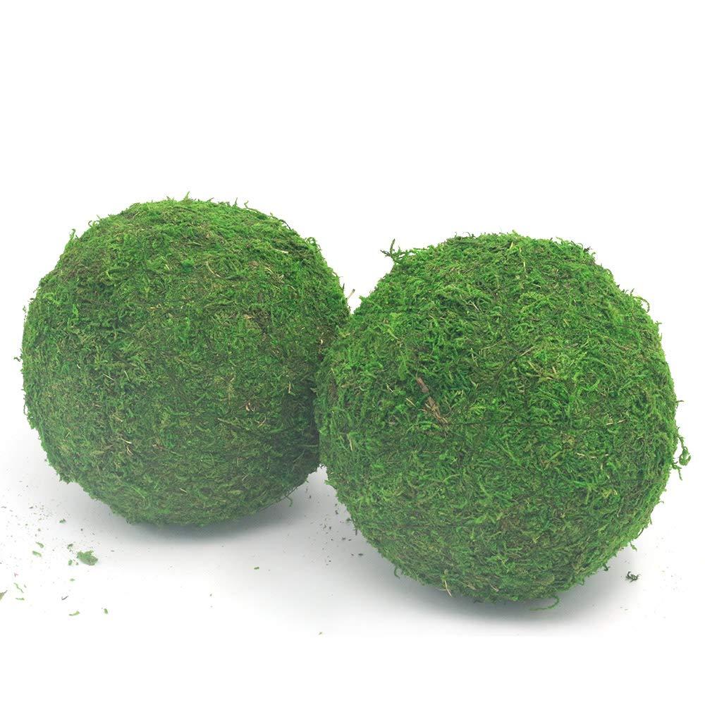 Nice purchase Handmade Natural Green Plant Moss Balls Decorative for Home Party Display Decor Props (6 in)