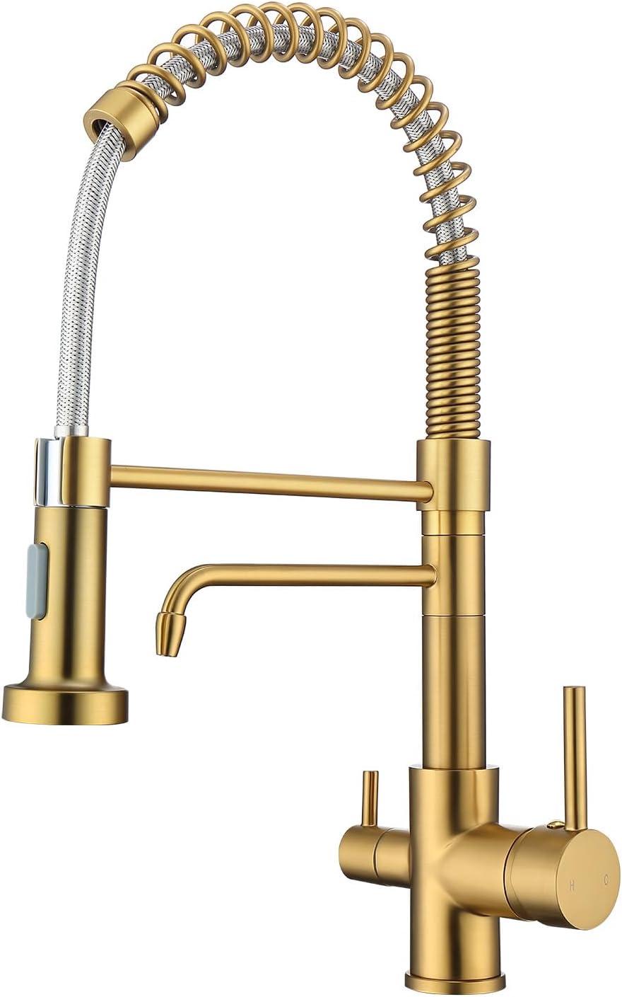 Brushed Gold Commercial Pull-Down Kitchen Faucet with Spray