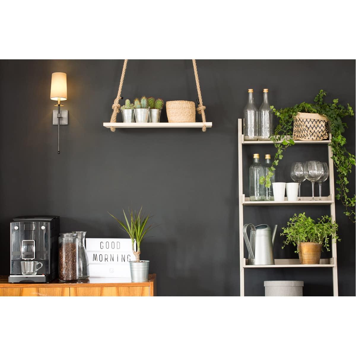 Z-Lite Camila 1 - Light Wall Light in  Brushed Nickel