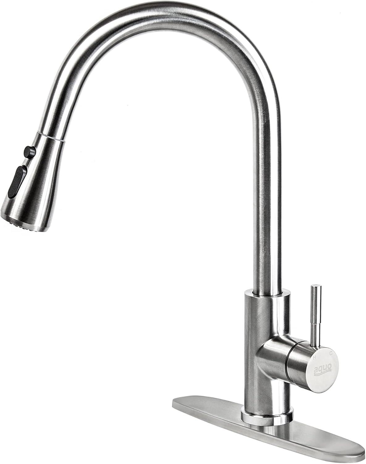 Aquo Pull Out Kitchen Faucet