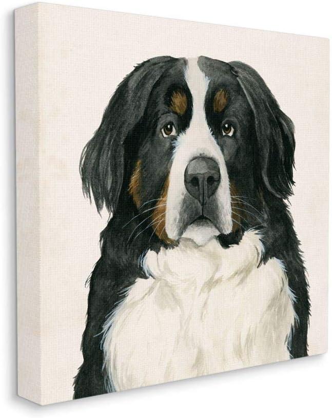 Stupell Industries " Bernese Mountain Dog Portrait " by Grace Popp