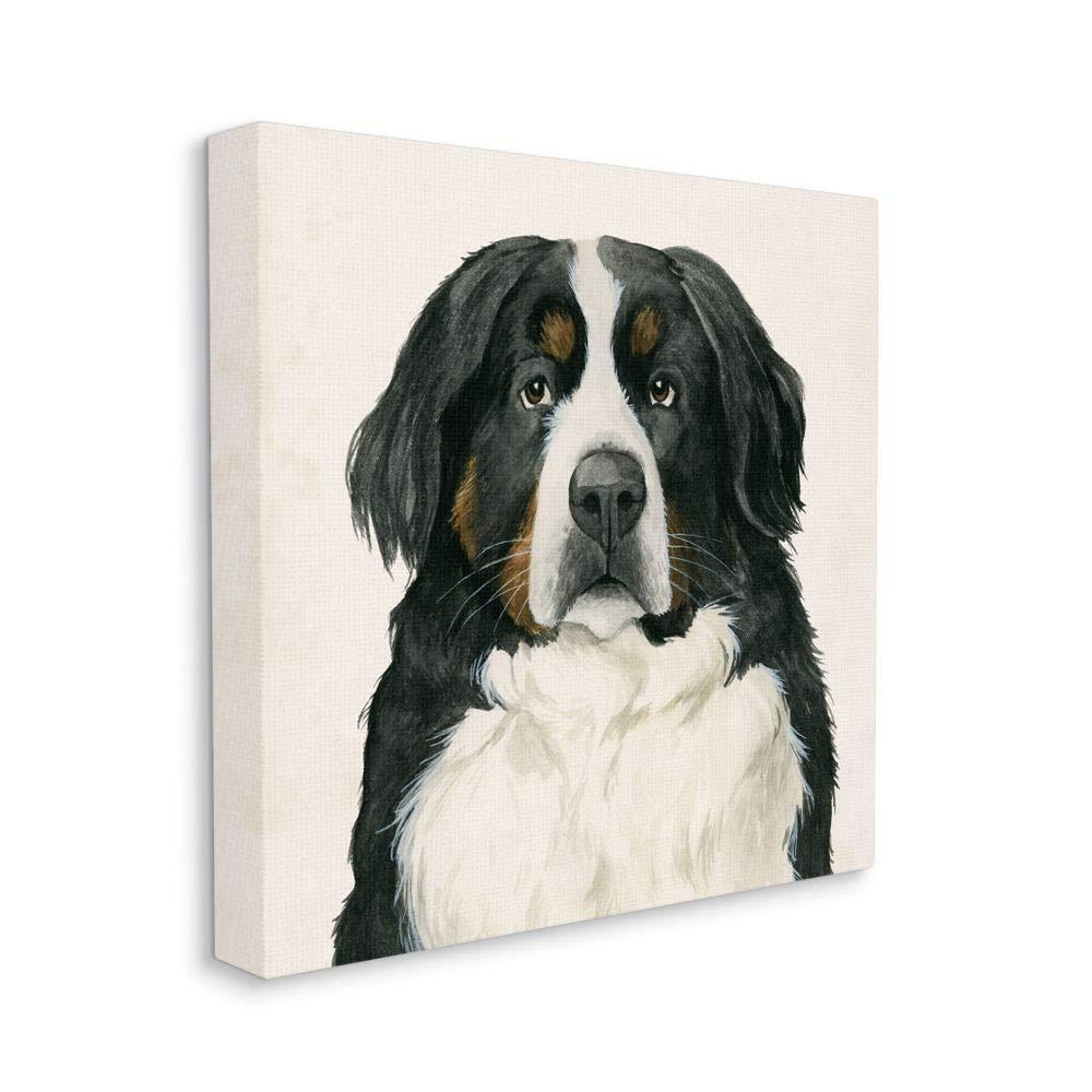 Stupell Industries " Bernese Mountain Dog Portrait " by Grace Popp