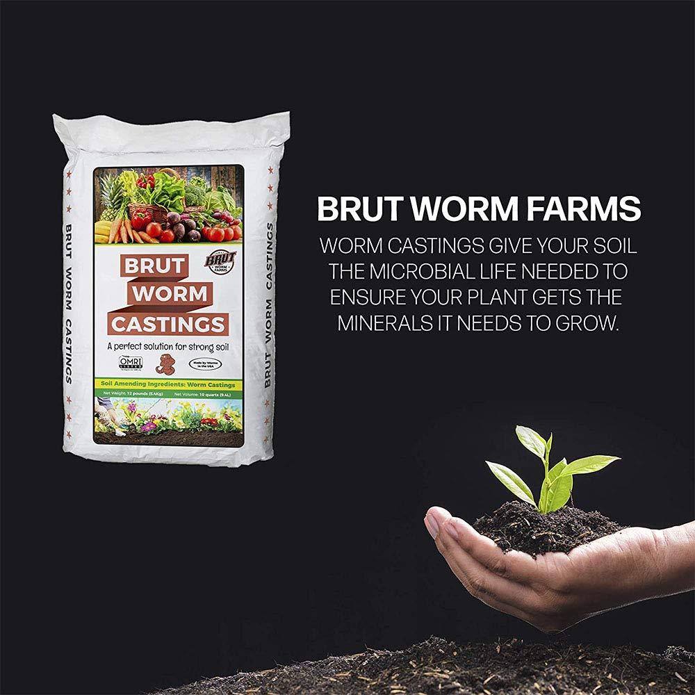 Brut Organic Worm Castings – 5 LB – Natural Nutrients, Fertility Builder, Plant Food for Potting Soil, Garden Soil, Indoor and Outdoor Use