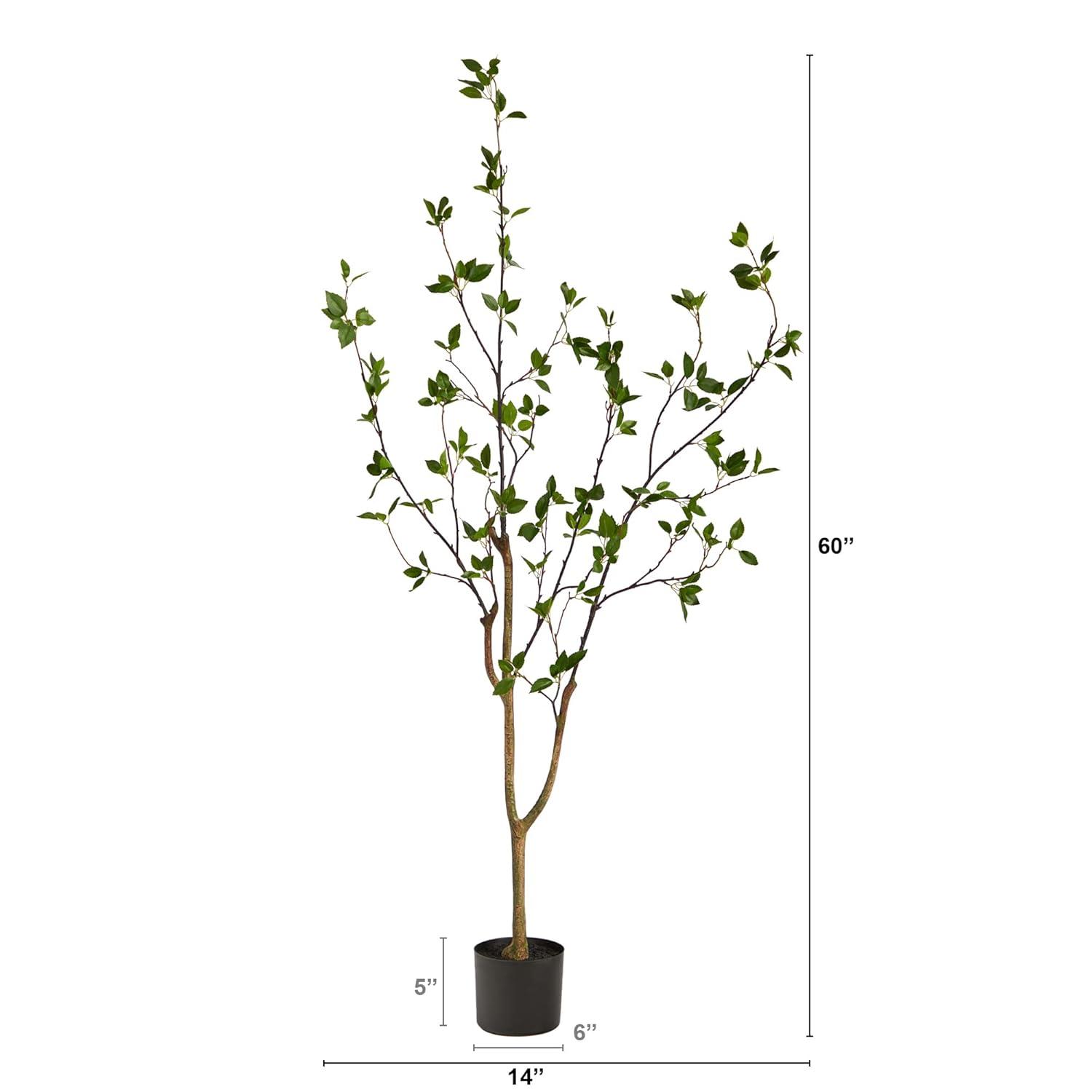 Faux Minimalist Citrus Tree 5'