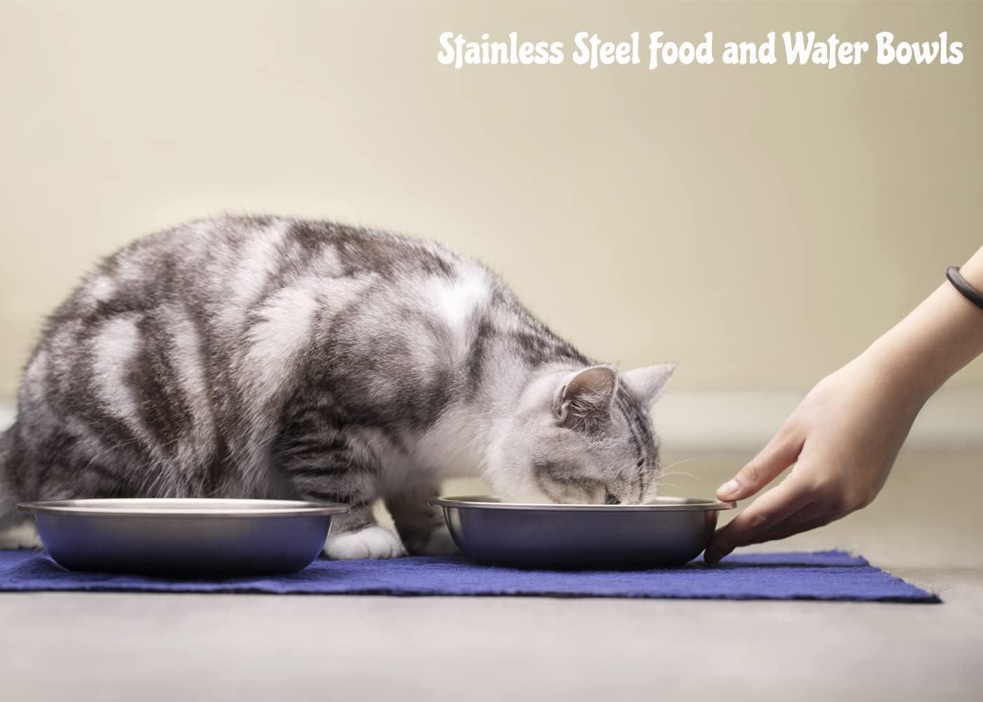 Stainless Steel Cat Bowls 4 Pack, Whisker Fatigue Relief Cat Food Dish, Metal Shallow Wide Large Replacement Plate for Dog and Pet, Ideal for Raised Elevated Pet Feeding Station Stand