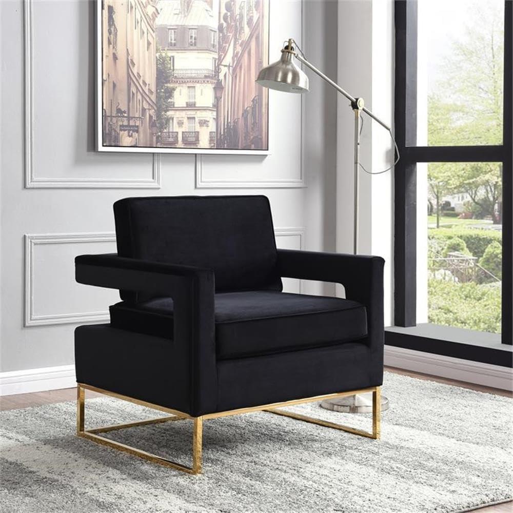 Meridian Furniture Noah 19"H Velvet Accent Chair in Black and Gold