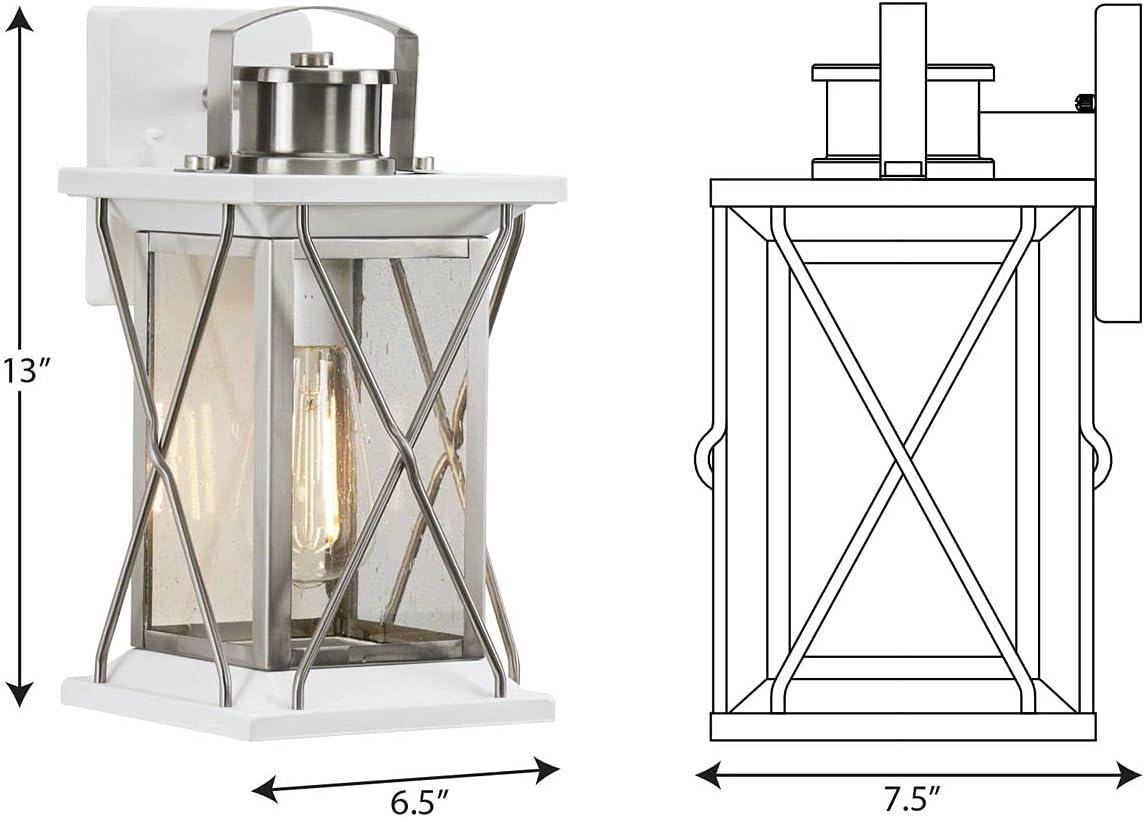 Progress Lighting Barlowe 1-Light Small Wall Lantern, Stainless Steel, Clear Seeded Glass