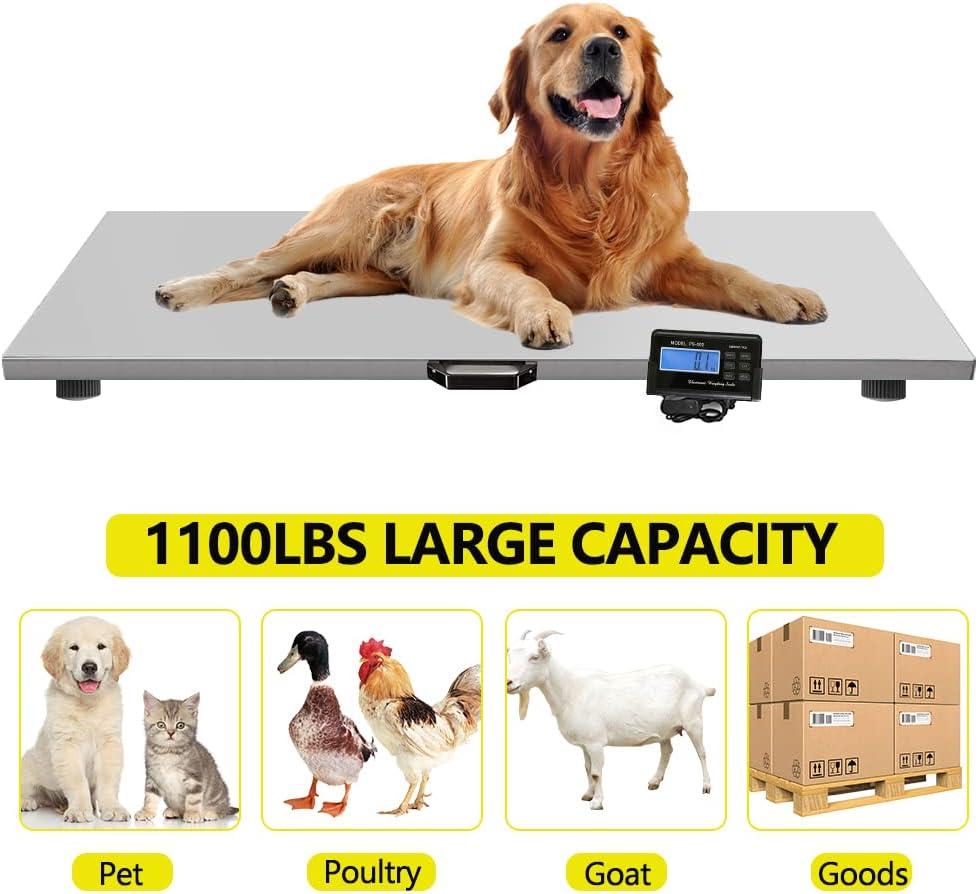 VEVOR 1100Lbs x 0.2Lbs Digital Livestock Scale Large Pet Vet Scale Stainless Steel