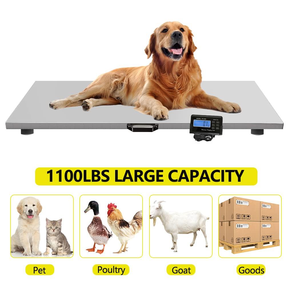VEVOR 1100Lbs x 0.2Lbs Digital Livestock Scale Large Pet Vet Scale Stainless Steel