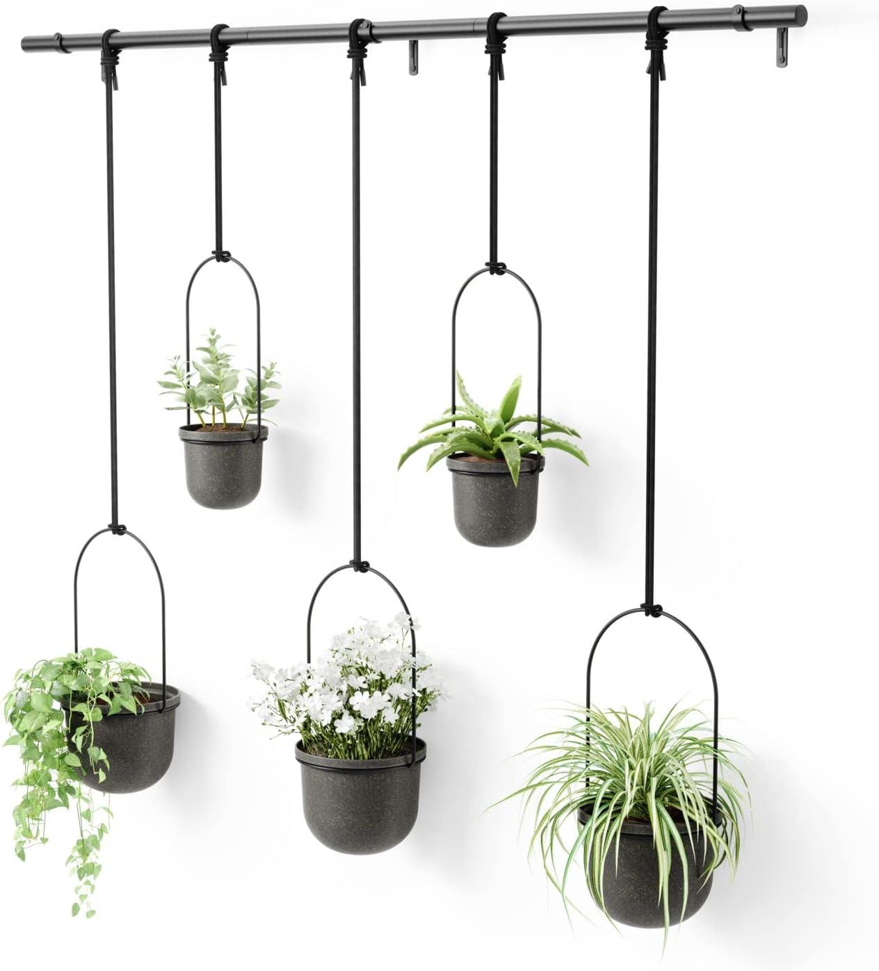 Hanging Planter