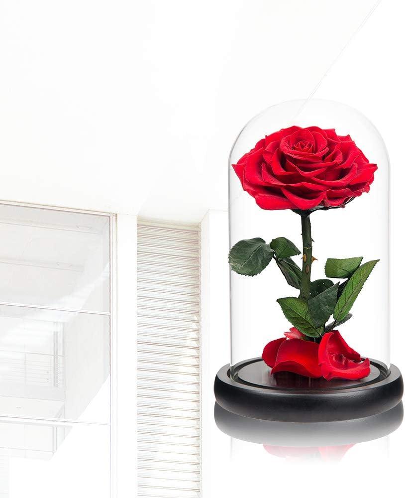 Preserved Roses Real Preserved Rose in Glass Dome with Wooden Base, Rose Preserved Never Withered Romantic Gifts for Her, Valentine's Day, Mother's Day, Birthday