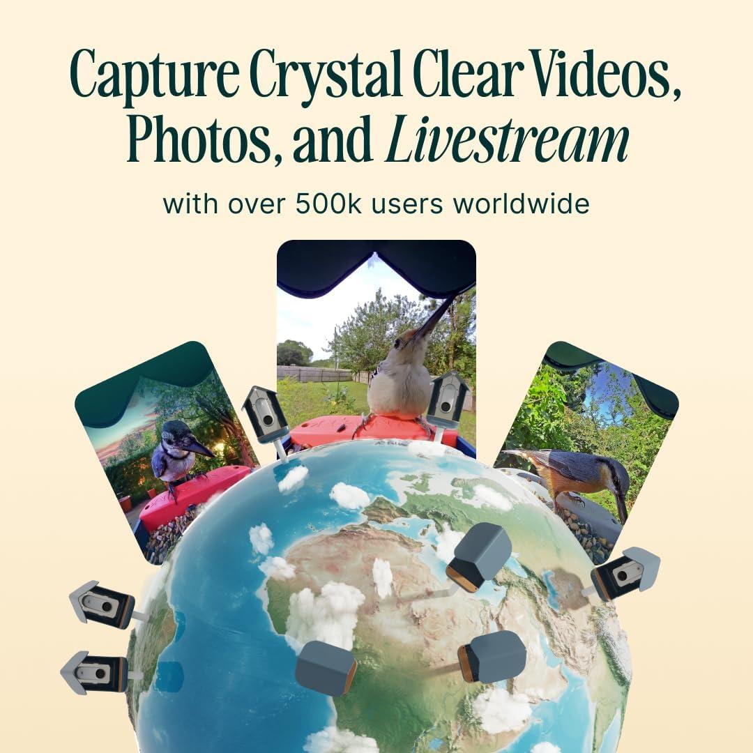 Bird Buddy Smart Bird Feeder with Camera and Solar Roof: Weather-Resistant, Hanging or Pole Mount