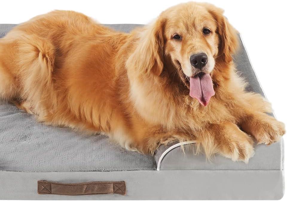 Friends Forever Orthopedic Dog Bed for Medium Dogs, Waterproof Memory Foam Dog Sofa Bed M with Removable Washable Cover, Ally Grey, 28x23x6.5