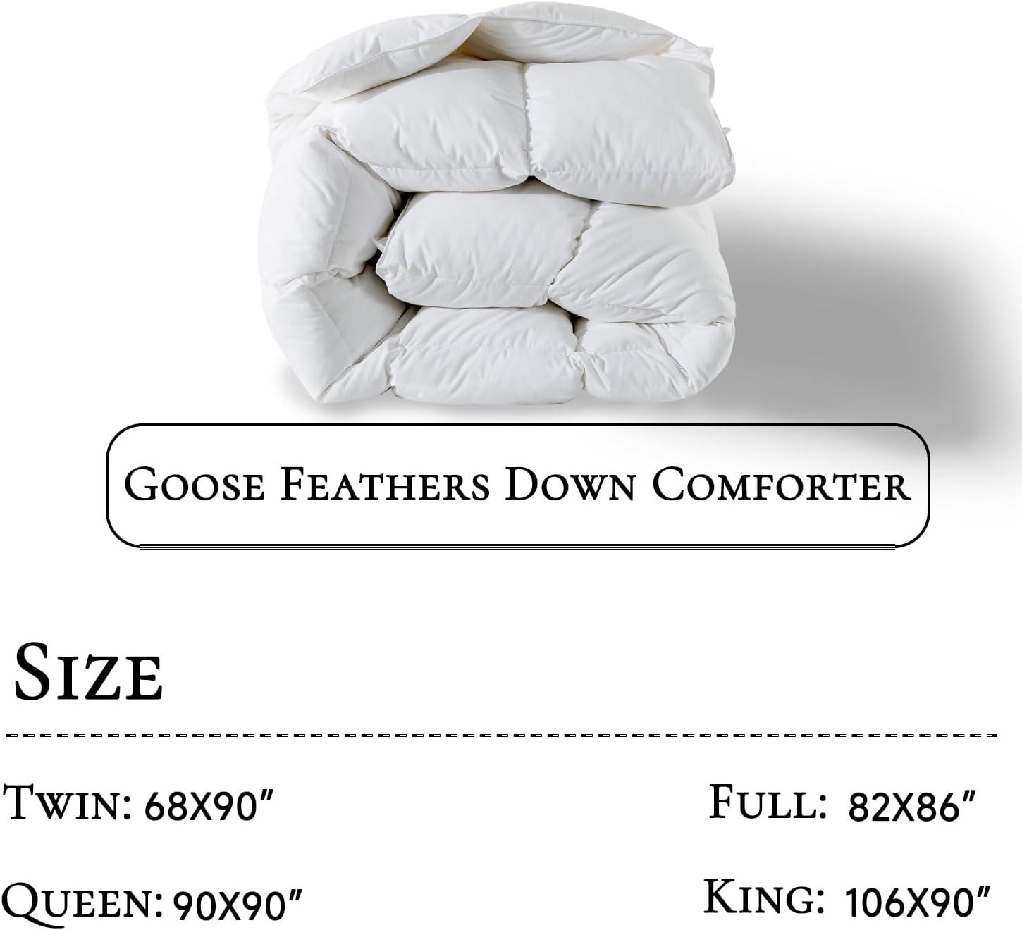 ValenciaLuxe Hotel-Collection 100% Organic Cotton All Season 750 Fill Power Goose Feathers Down Comforter