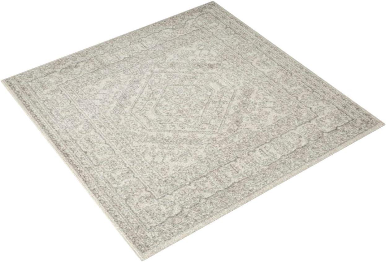 Adirondack ADR108 Area Rug  - Safavieh