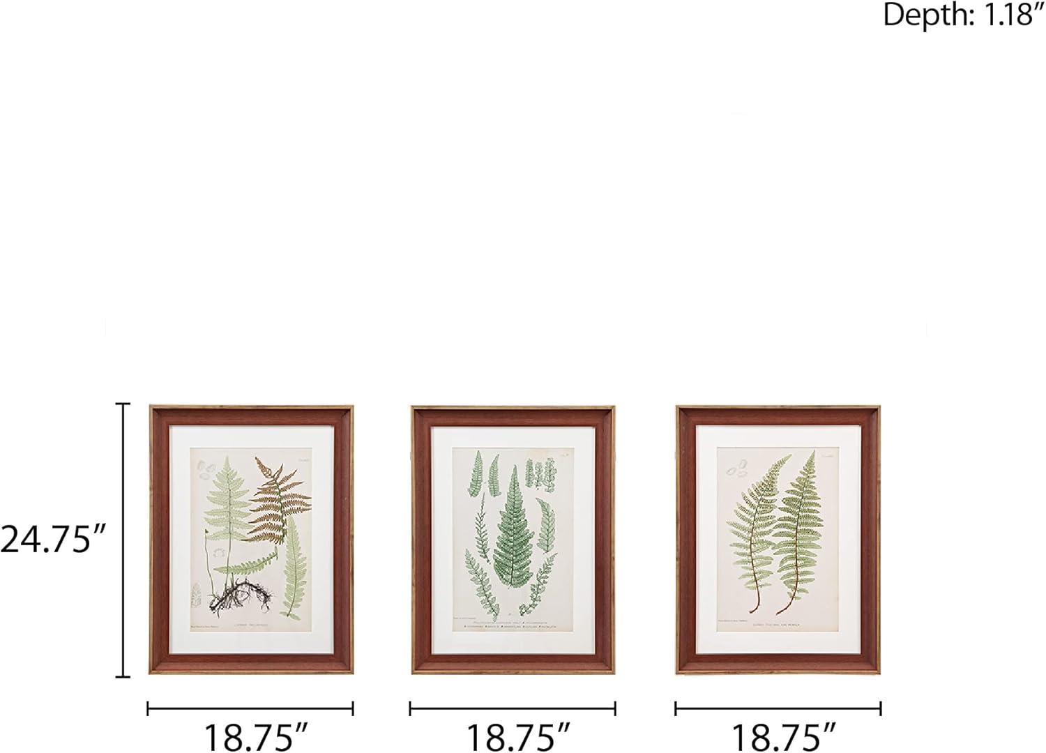 Martha Stewart Lady Fern Collection Botanical Illustration Single Mat Framed 3 Piece Wall Art Set