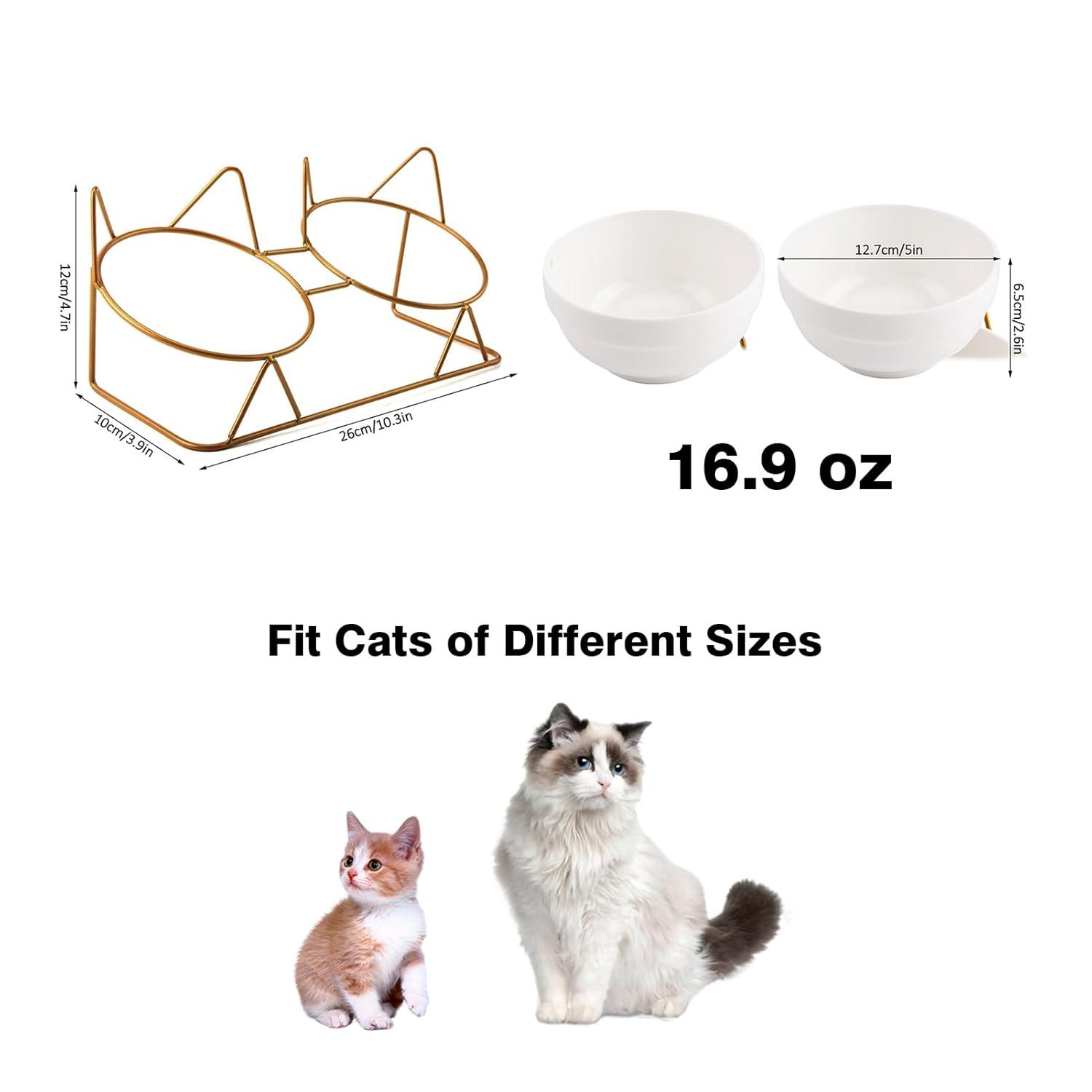 Cat Bowls, Double Ceramic Pet Bowls with 15°Tilted Raised Stand for Food and Water, Anti Vomiting Cat Dish Feeder, Perfect for Puppy Cats and Small Dogs(Double Bowls1)