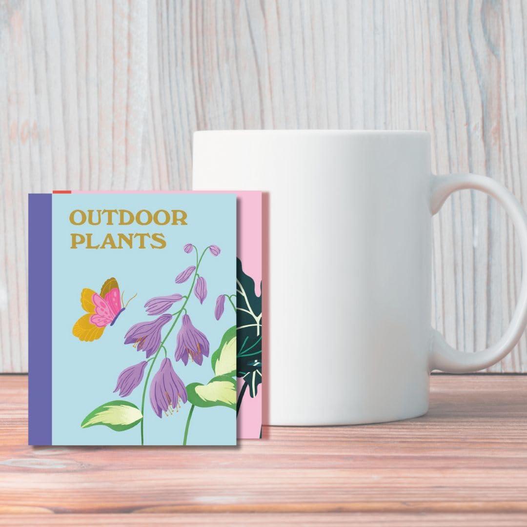 Plant Lover's Box Set - (Rp Minis) by  Jessie Oleson Moore (Hardcover)