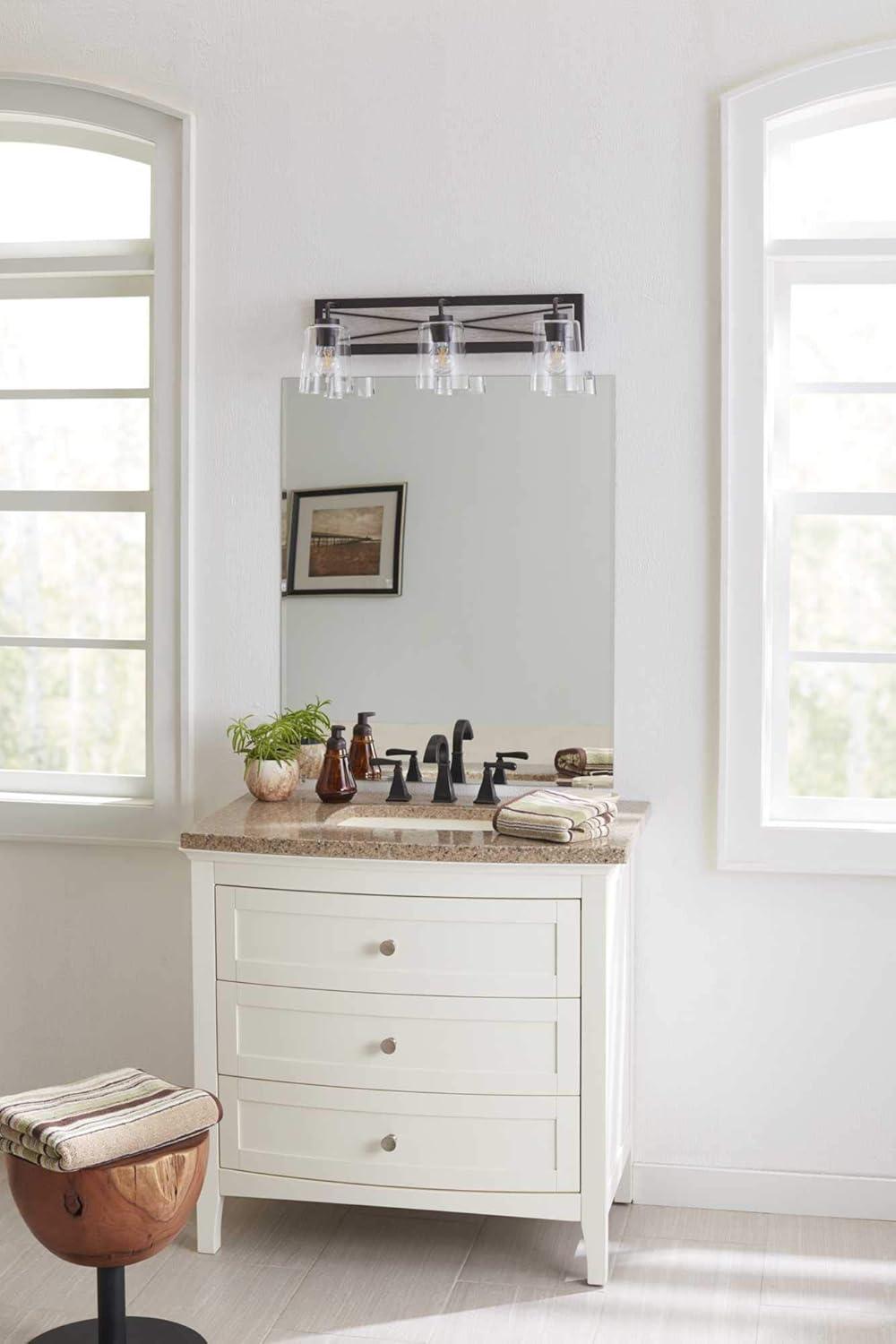 Progress Lighting Briarwood 3-Light Bath Vanity in Graphite with Clear Glass Shades