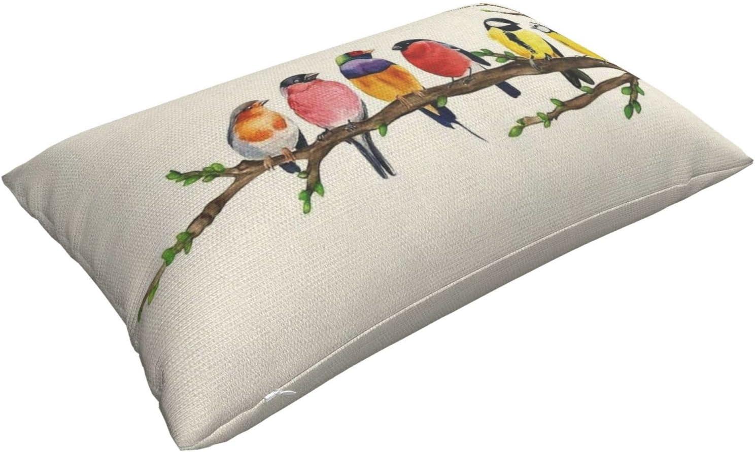 Chinoiseries Spring Pillow Covers 18x18 Set of 2, Black White Birds and Floral Throw Pillows Farmhouse Vintage Outdoor Decorative Cushion Case Decorations for Home Couch Sofa