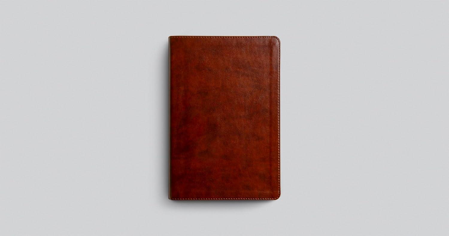 ESV Everyday Gospel Bible - (Leather Bound)