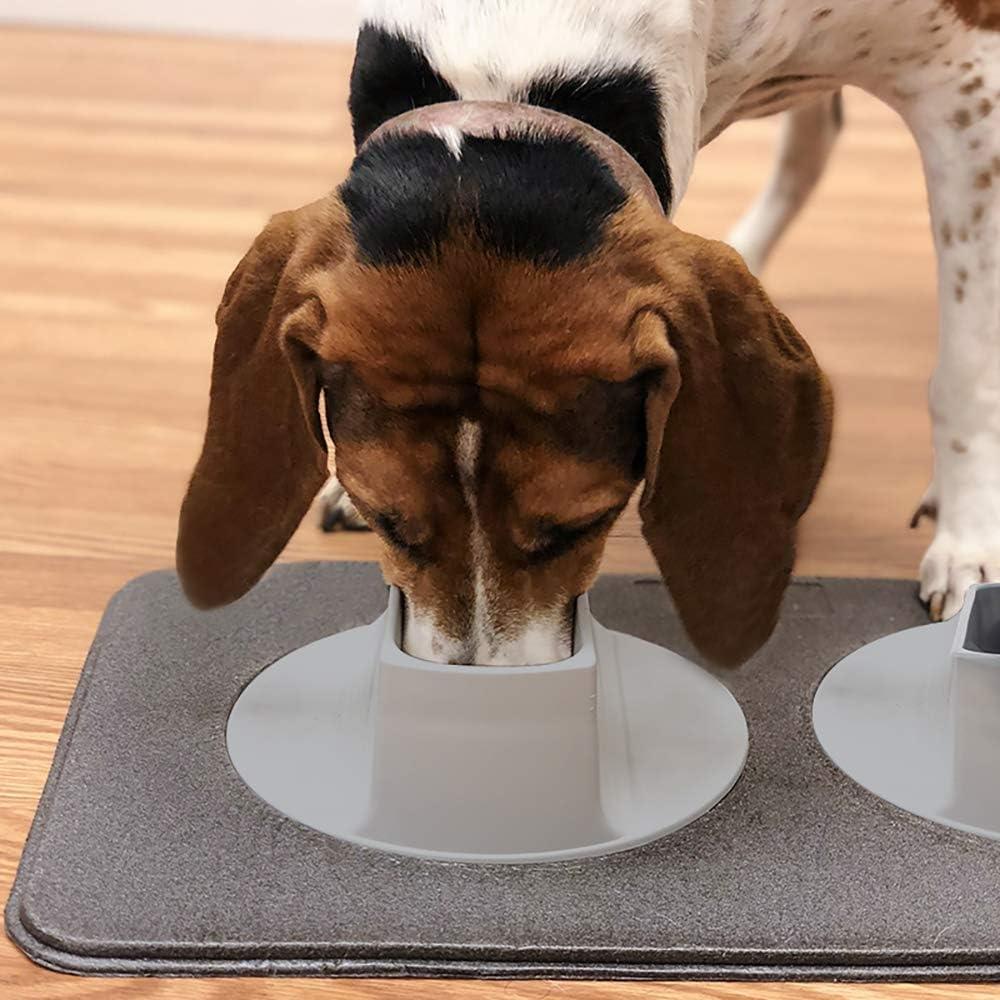 Gray Elevated Dog Feeding Station with Black Mat