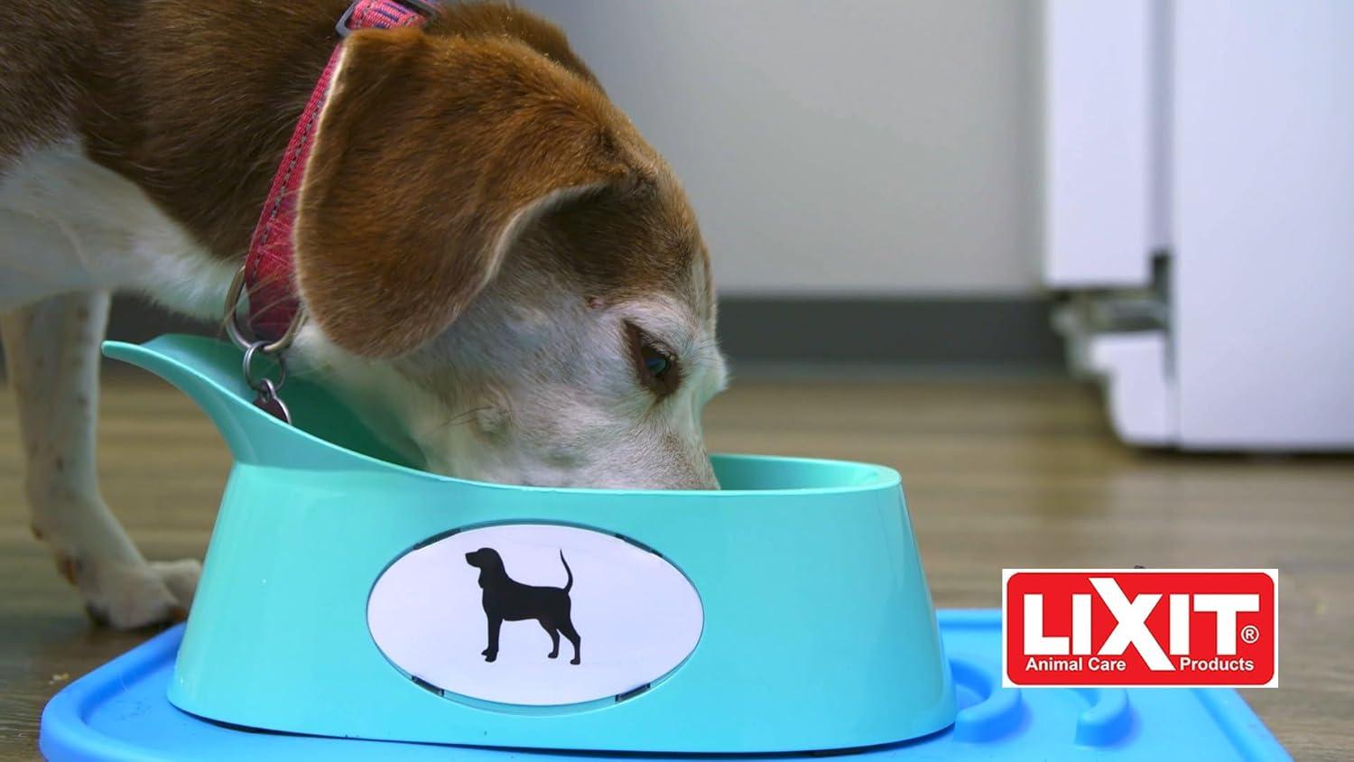 Small Blue Ergonomic Plastic Dog Bowl with Stand