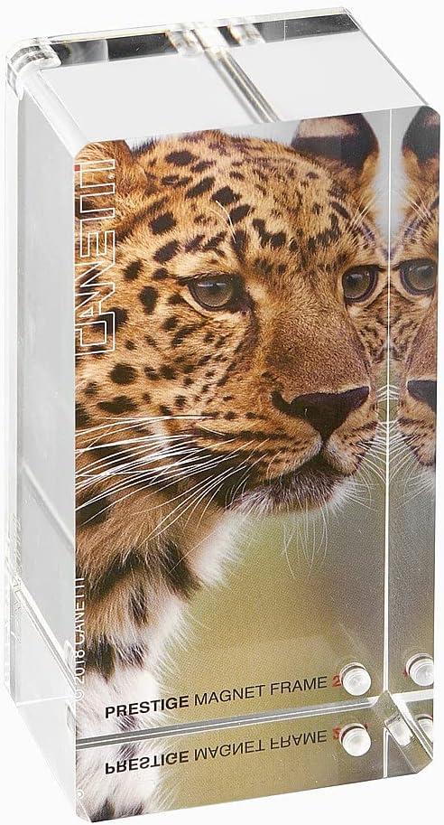 Prestige Clear Acrylic 2x4 Magnetic Floating Frame