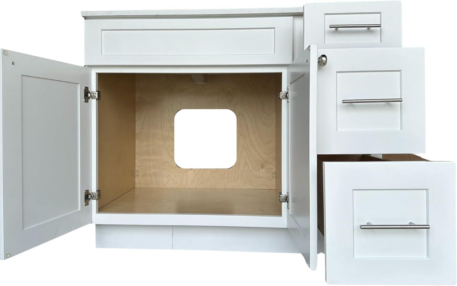 Disar 49'' Single Bathroom Vanity with Quartz Top