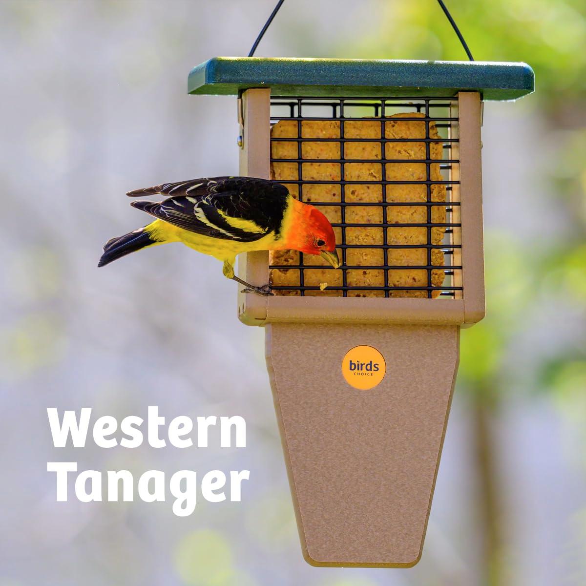 Birds Choice Birds Choice 12" Recycled Single Cake Tail Prop Suet Feeder, Taupe/Green