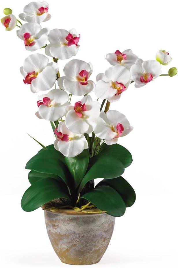 Orchid Bliss White Double Stem Phalaenopsis Silk Tabletop Arrangement