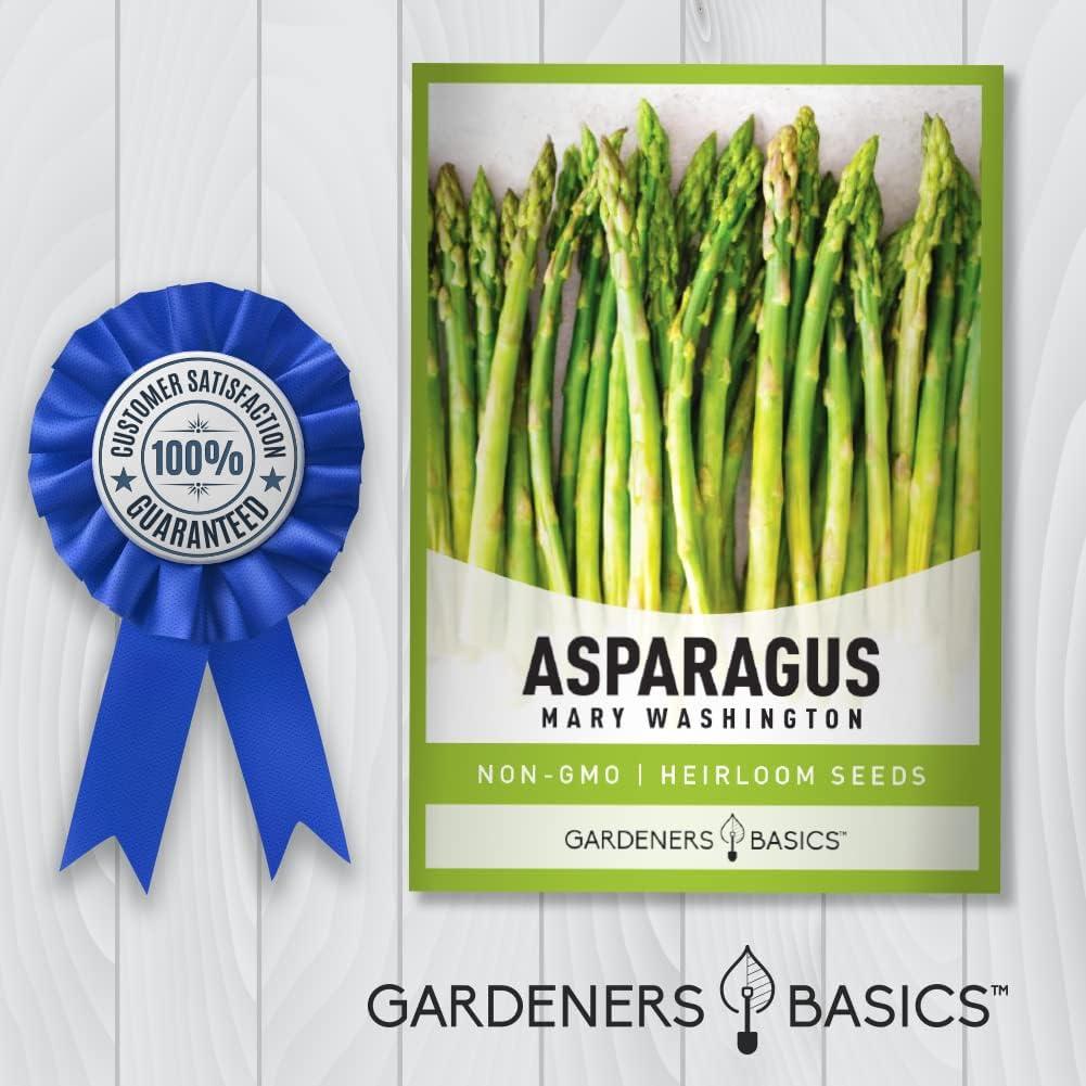 Mary Washington Non-GMO Heirloom Asparagus Seeds for Spring Planting