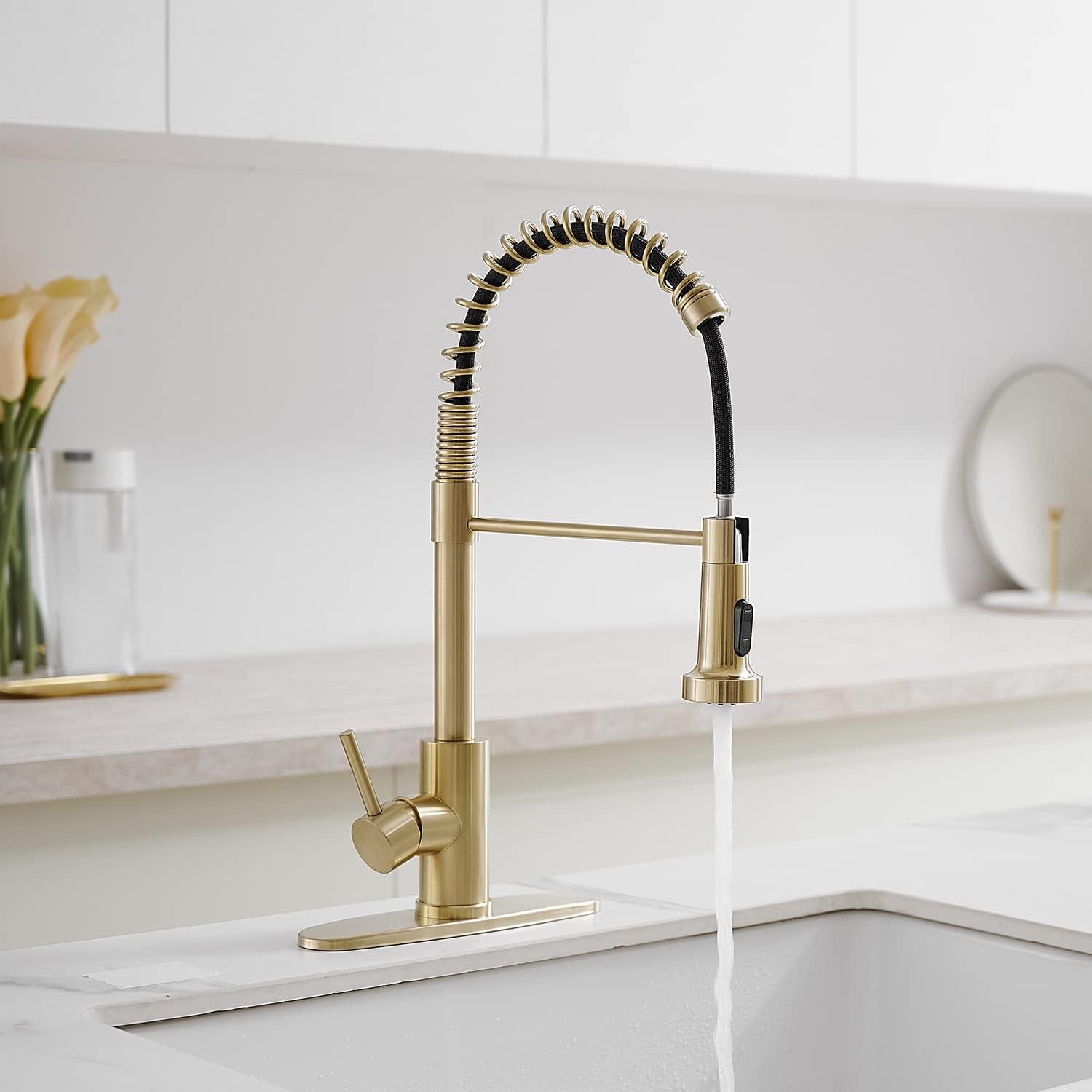 VIBRANTBATH VIBRANTBATH Pull Out Kitchen Faucet 4034-B