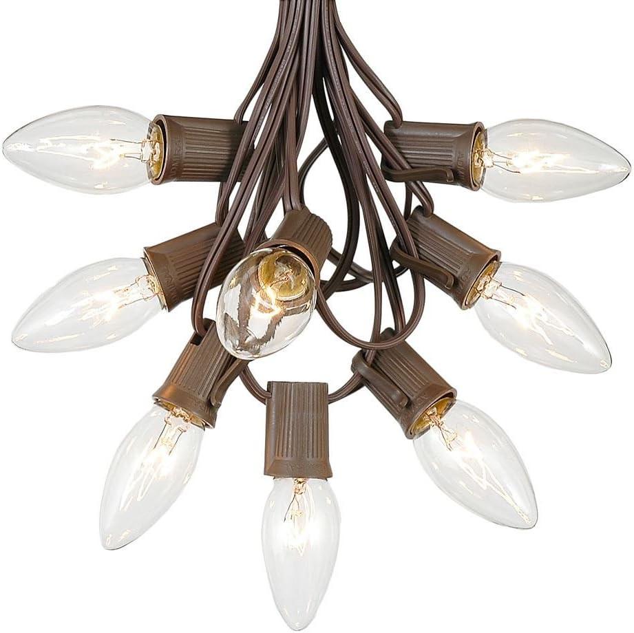 Novelty Lights 25 Feet C9 Clear Christmas String Light Set, Vintage Holiday Hanging Light Set, Brown Wire