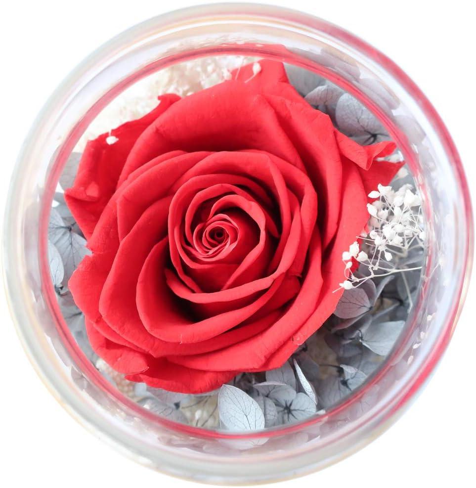 Preserved Real Roses with Colorful Mood Light Wishing Bottle, Eternal Rose，Never Withered Flowers, Table Decor,Christmas Anniversary Valentine's, Red 4.3inch, 1pcs