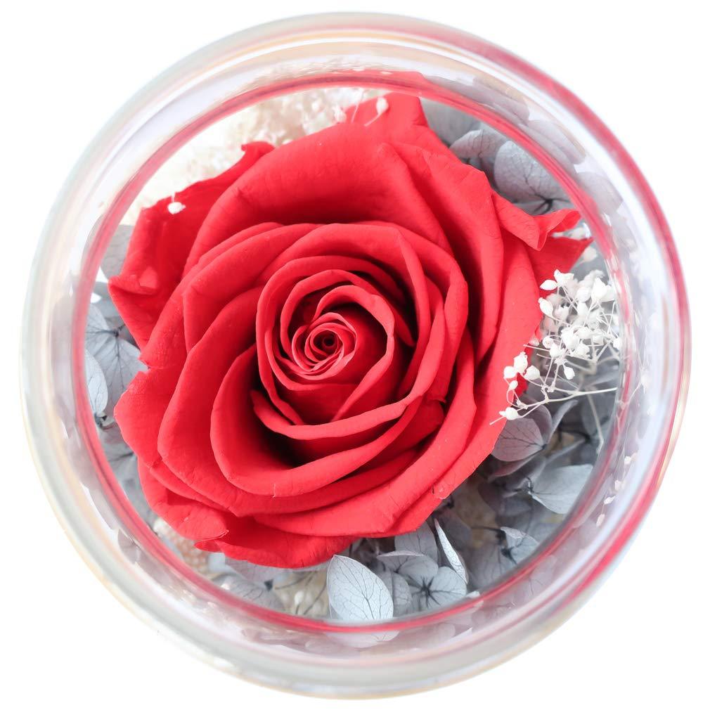 Preserved Real Roses with Colorful Mood Light Wishing Bottle, Eternal Rose，Never Withered Flowers, Table Decor,Christmas Anniversary Valentine's, Red 4.3inch, 1pcs