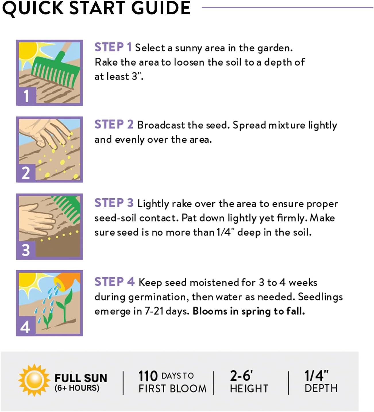 Burpee Perennial Wildflower Seeds Mix – Non-GMO, Attracts Pollinators, Perennial Flowers, 50,000 Seeds, 1 Bag